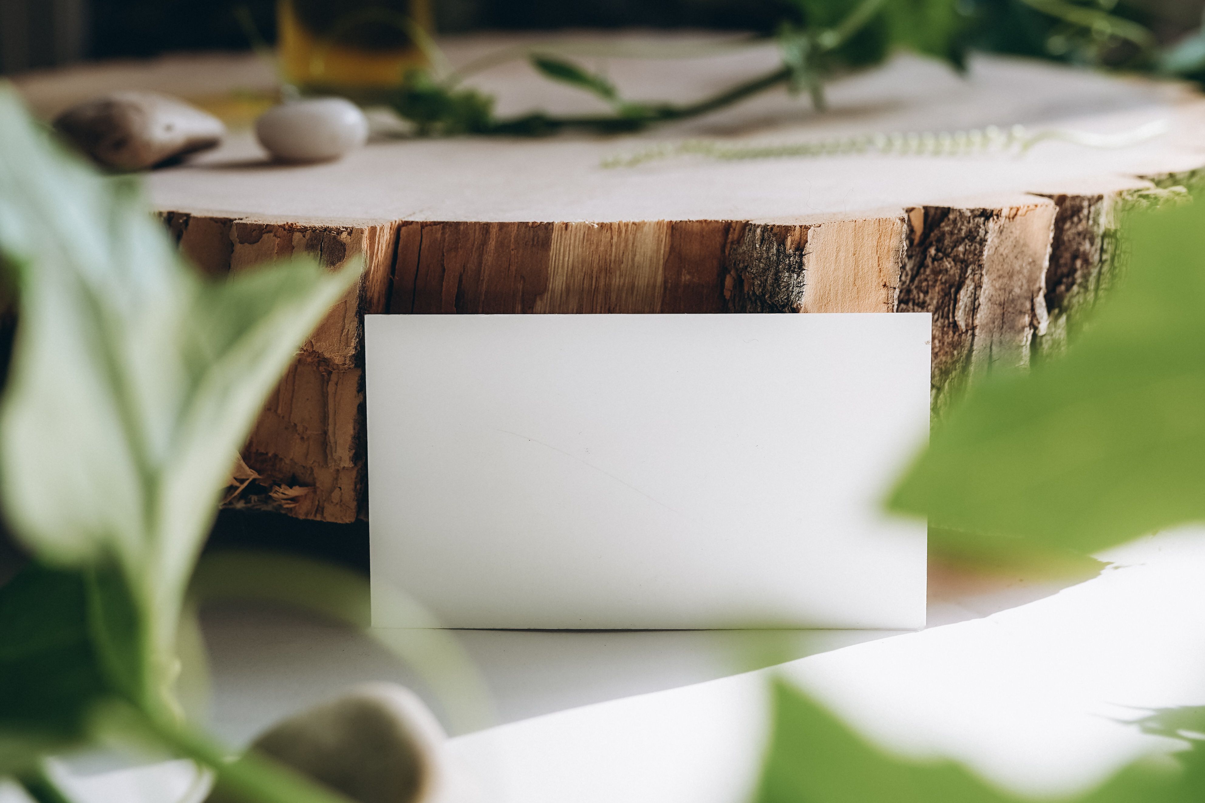 A seed-paper birthday invitation card next to a small potted plant on a wooden table.