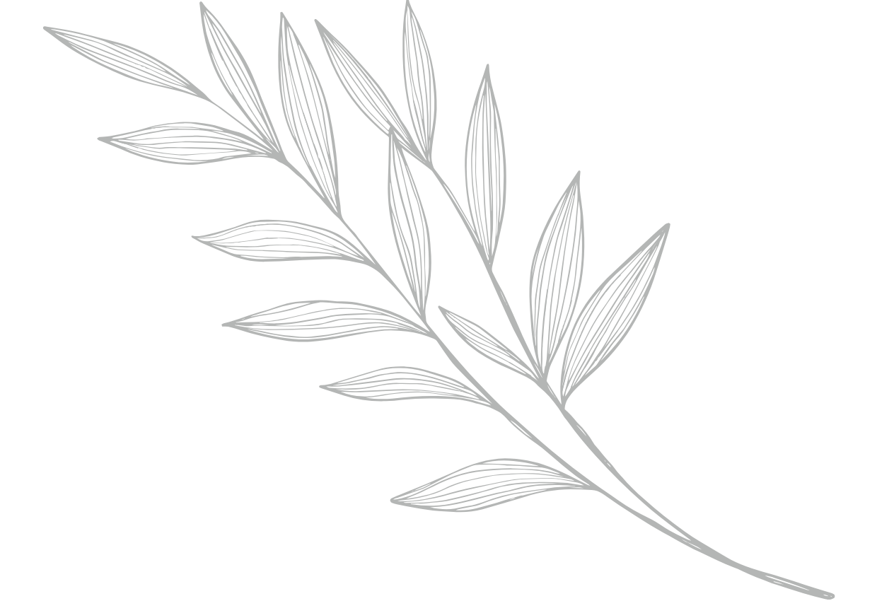Leaf Illustration