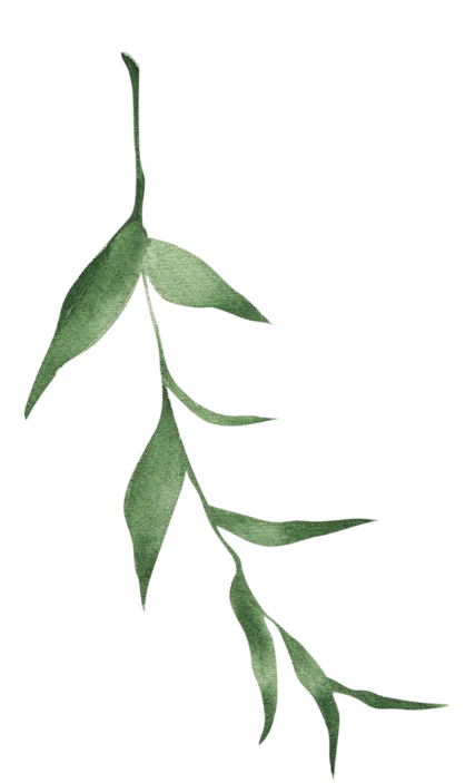 Leaf 2