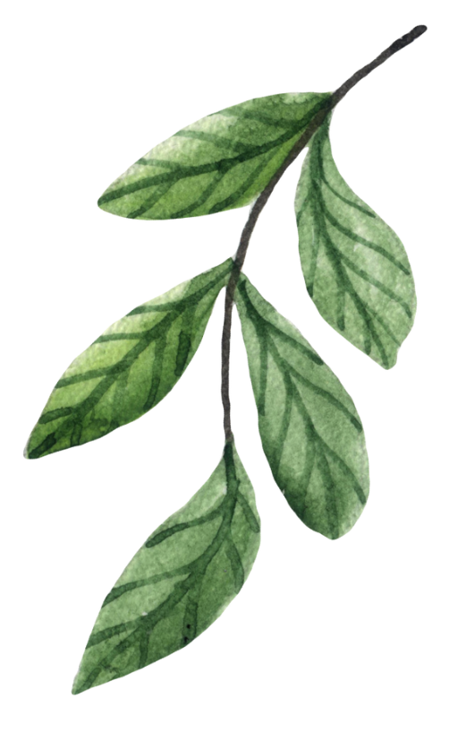 Leaf 3